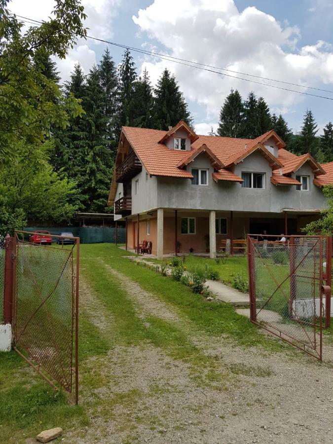 Hotel Cabana Merisor Poiana Mărului Exterior foto